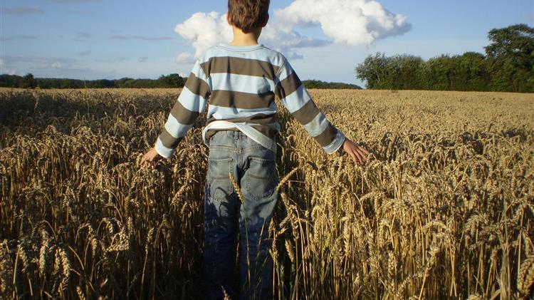 Δ. Χαρίτου: για την αγροτική πολιτική εκ μέρους της κυβέρνησης
