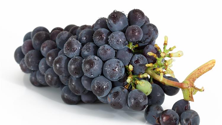 Μειωμένη κατά 15% η παραγωγή οίνων της Νότιας Αφρικής το 2018, ξηρασία και παγετοί