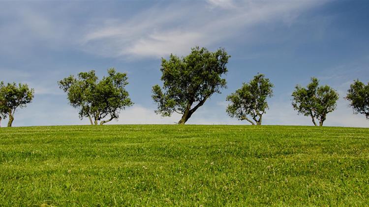 Καταγράφηκαν υπέρυχοι φυτών σε συχνότητες που οι άνθρωποι δεν μπορούν να ακούσουν