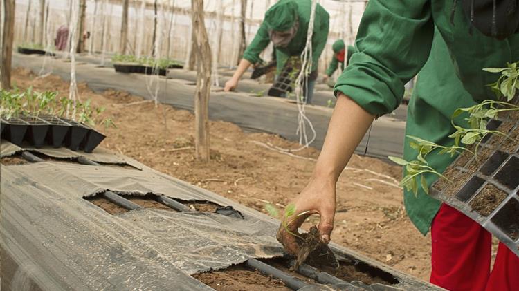 Canada extends help to farmers