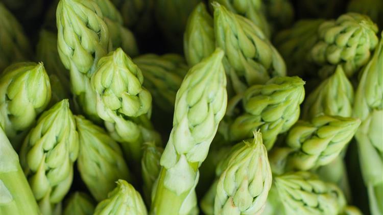 Η συνδεδεμένη για τα σπαράγγια