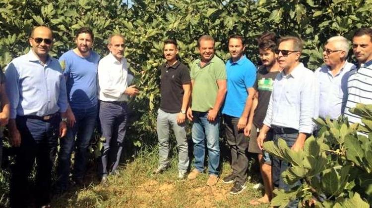 Επιπλέον 177 νέοι  αγρότες εντάσσονται  στην Δυτική Ελλάδα