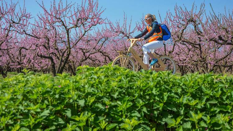 Ένα Σαββατοκύριακο στις Ανθισμένες Ροδακινιές!