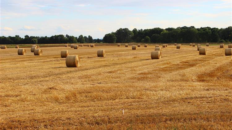 Η υποχρεωτική αναγραφή του Α.Τ.ΑΚ στις δηλώσεις ΟΣΔΕ είναι αναγκαία 