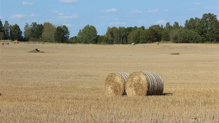 Διευκρινίσεις για το ΑΤΑΚ