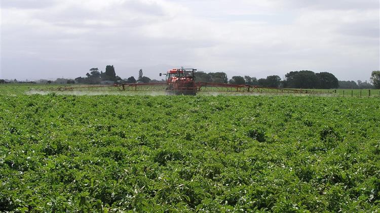 ΑΤΑΚ: Τεχνητή λύση για «Μαϊμού» ΟΣΔΕ