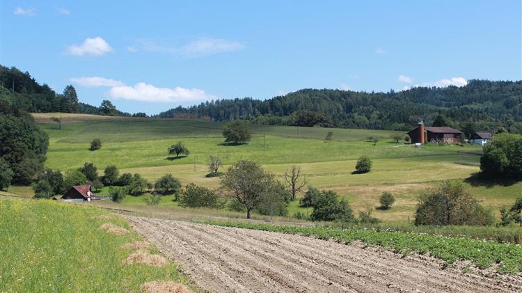 Εδαφική συνοχή και βιωσιμότητα στη Μεσόγειο