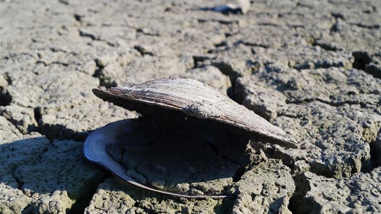 Ανάγκη συνεργασίας για την προστασία του νερού στην Κρήτη