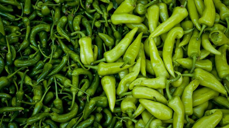 Ασθένειες στις πιπεριές