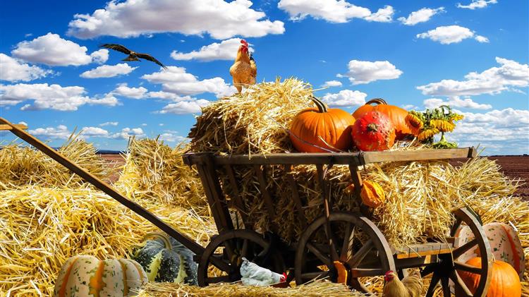 Η κυβέρνηση οφείλει να σταματήσει να κλέβει τους συνταξιούχους του ΟΓΑ 