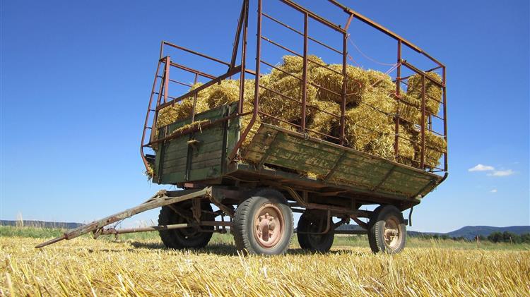 «Πότε θα υπάρξει αξιοποίηση ακινήτων των υπό εκκαθάριση συνεταιρισμών  από υγιή αγροτικά συνεργατικά σχήματα;»