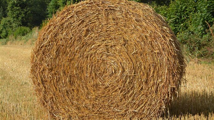 ΟΠΕΚΕΠΕ: για την αναγραφή του ΑΤΑΚ