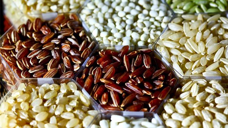 Άδεια Χρήσης Μη Βιολογικού Σπόρου