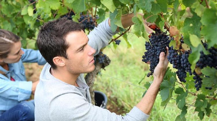 Καθορίστηκε ο συντελεστής για τον υπολογισμό της ενίσχυσης γεωργών νεαρής ηλικίας