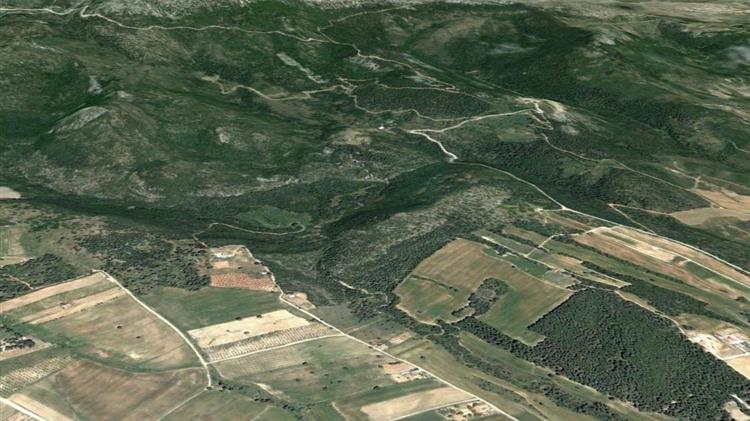 Ενημέρωση των παραγωγών σχετικά με ανάρτηση Δασικών Χαρτών