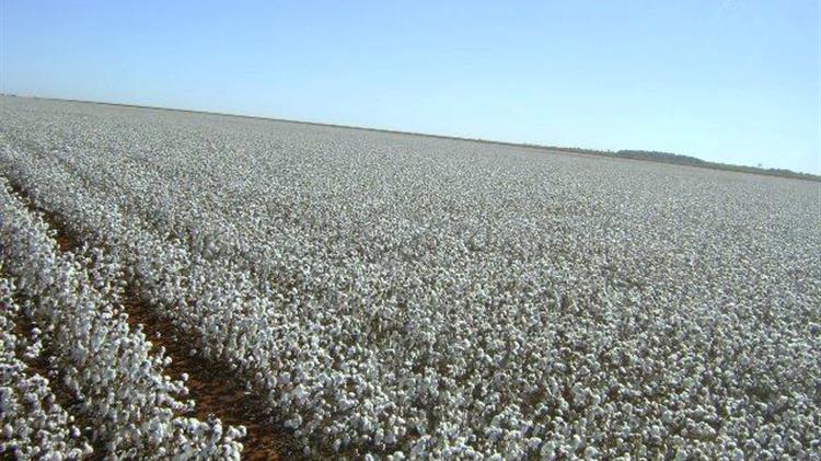 «Απαιτούμε την άμεση αποκατάσταση της αδικίας για τις πληρωμές της συνδεδεμένης»