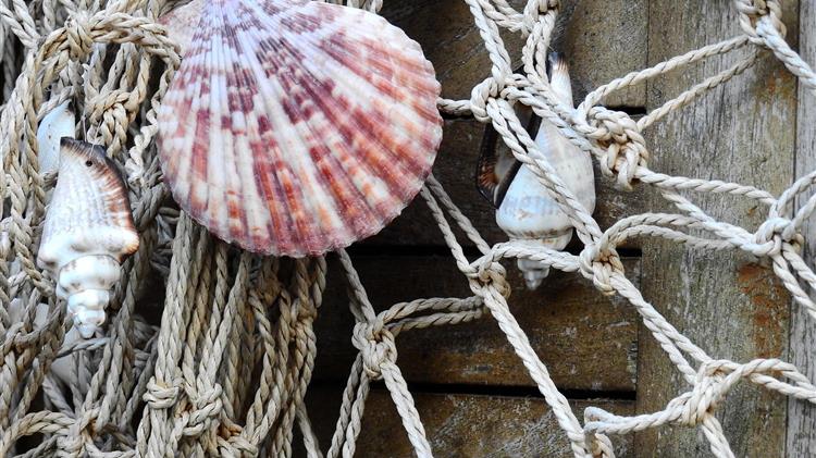 Αλιεία «Παράταση προγράμματος οικονομικής ενίσχυσης λόγω κορωνοϊού»