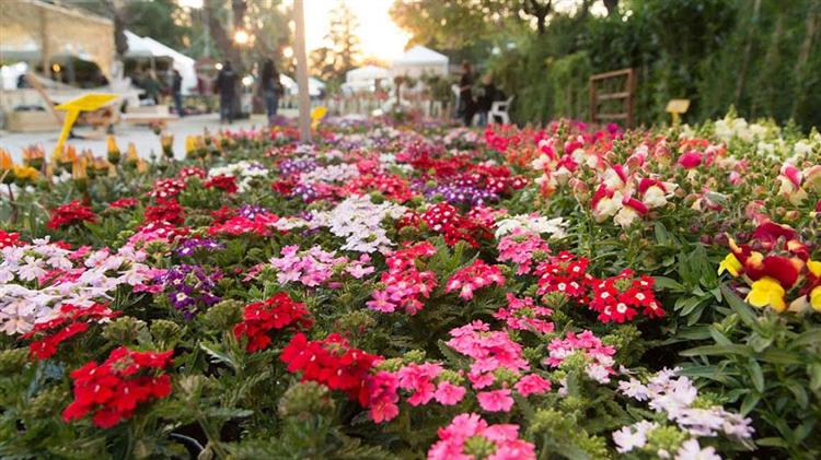 «Καινοτόμα Υλικά και Υπηρεσίες για την Παραγωγή Λαχανοκομικών και Ανθοκομικών προϊόντων»