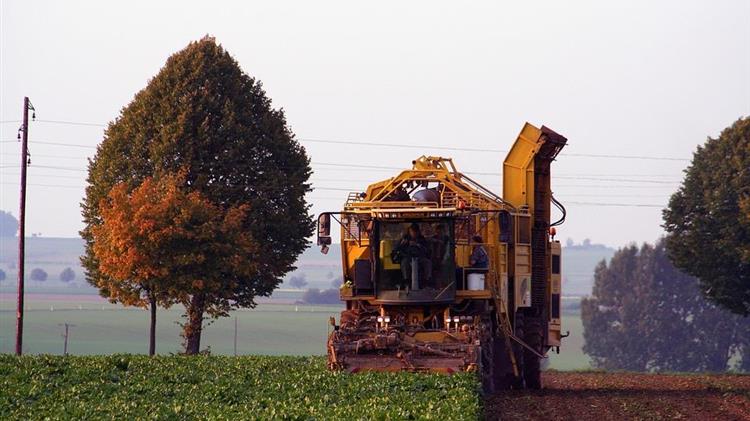 «Οι τευτλοπαραγωγοί μας πληρώνουν την απόλυτη διάλυση της Βιομηχανίας Ζάχαρης»