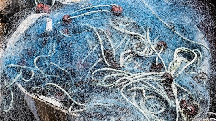 Επιπλέον μέτρα ύψους 20 εκατ. ευρώ για την στήριξη των Αλιέων που επλήγησαν από τον κορωνοϊό