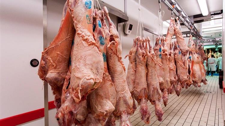 Έβρος: Μειώνεται ο κίνδυνος για χιλιάδες αδιάθετα αμνοερίφια