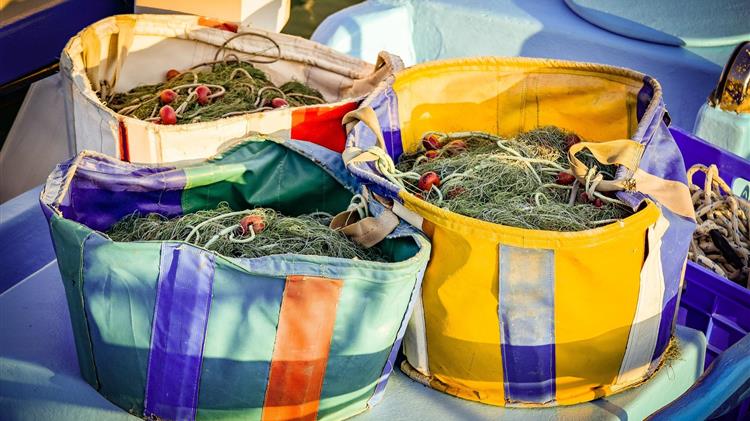 ΓΕΩΤ.Ε.Ε.:αίτημα για την ολοκλήρωση του μητρώου επιθεωρητών αλιείας