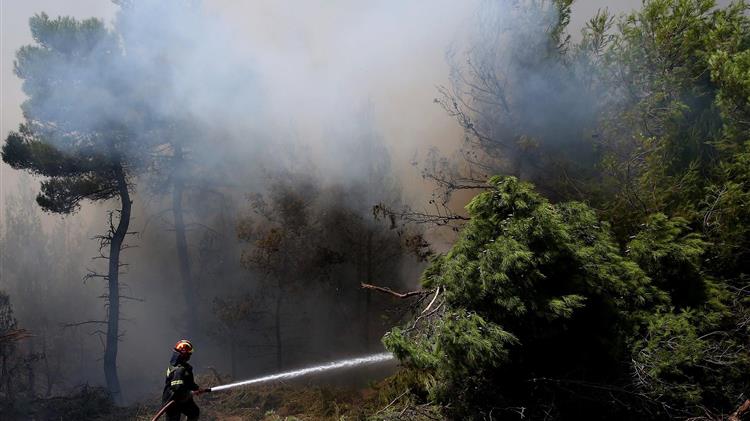 Δυτική Ελλάδα: Υποβολή αιτήσεων πληγέντων από τις πυρκαγιές