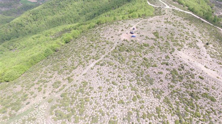 Αναδάσωση από τον ΤΑΡ στη Βόρεια Ελλάδα, με 400.000 δένδρα και θάμνους