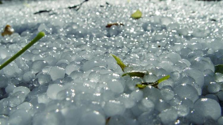 Καταβάλλονται σήμερα προκαταβολές 5 εκατ. € σε βαμβακοκαλλιεργητές για τις χαλαζοπτώσεις