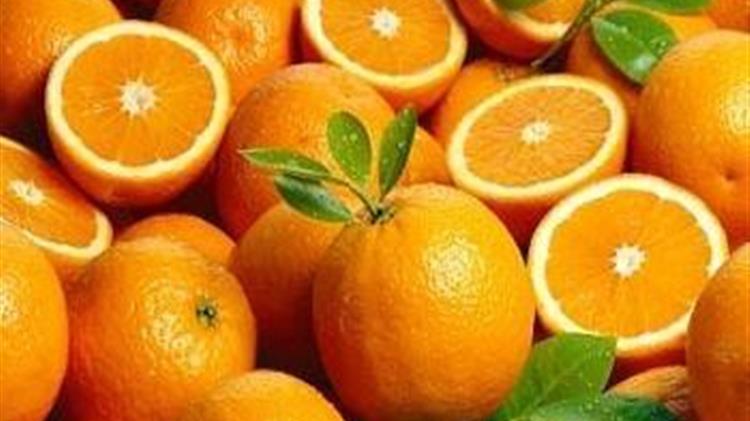 Αργολίδα: Δημιουργήθηκε Επιτροπή Συνεταιρισμών