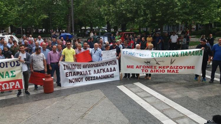 Δεν αυξήθηκαν ούτε τα αιγοπρόβατα στην Ελλάδα ούτε η παραγωγή