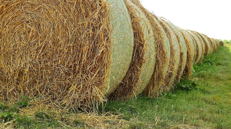 Η διαδικασία καταβολής εισφοράς εξαγοράς στον ΕΦΚΑ για την αναγνώριση του οφειλόμενου χρόνου πρόσθετης ασφάλισης στον πρώην ΟΓΑ 