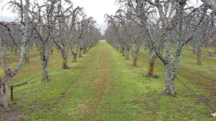 Ο πρωτογενής ελληνικός πλούτος