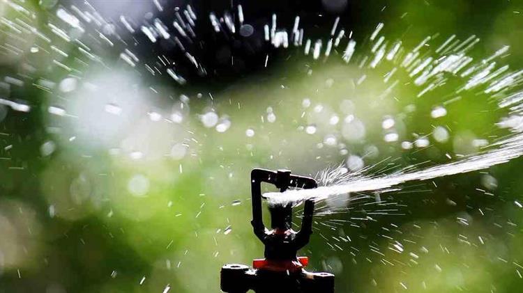 “Συμβουλές για άρδευση με μικρο-εκτοξευτήρες”