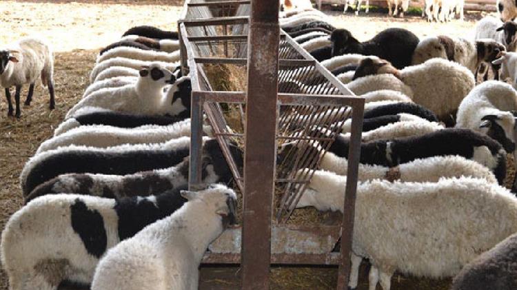 Δέσμευση Μητσοτάκη για μείωση φορολογίας των αγροτών από το 22% στο 9% 
