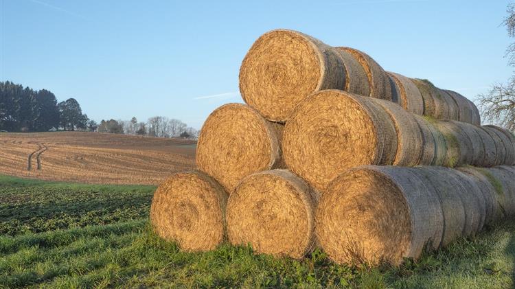 Συνδεδεμένη σε μηδική και τριφύλλι: Στα 83€/εκτάριο