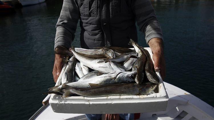 Μία ιδέα είναι αρκετή για να αλλάξει τον κόσμο