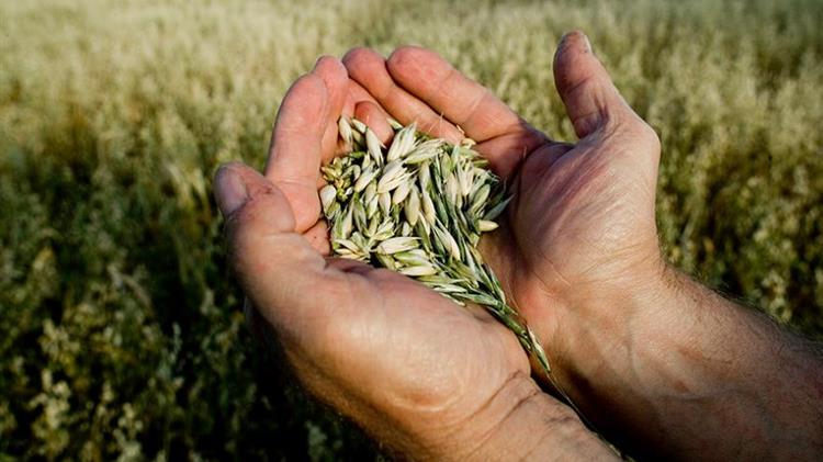 Έρευνα για τη διάρθρωση των γεωργικών εκμεταλλεύσεων του 2016