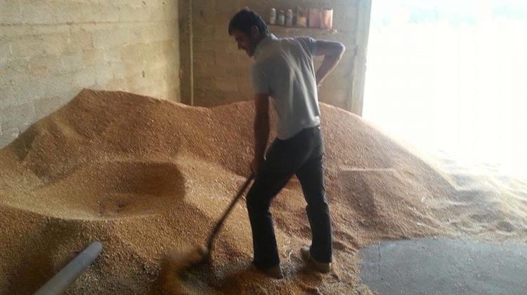 5η Επικαιροποίηση Πινάκων Αποτελεσμάτων Αξιολόγησης υπομέτρου 6.1 «Εγκατάσταση Νέων Γεωργών» 