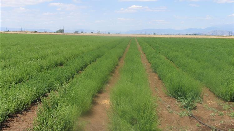 «Το ΠΑΣΟΚ καλεί τον κ. Αυγενάκη στη Βουλή για την Κοινή Αγροτική Πολιτική»