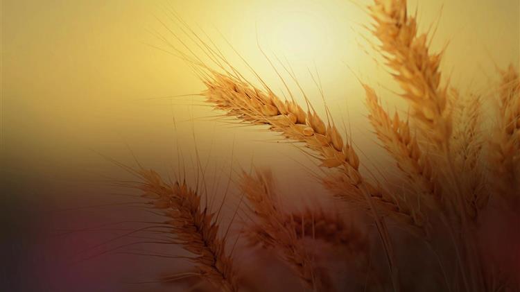 Συνάντηση Ομοσπονδίας Αγροτικών Συλλόγων Λέσβου με Π.Κουφέλο