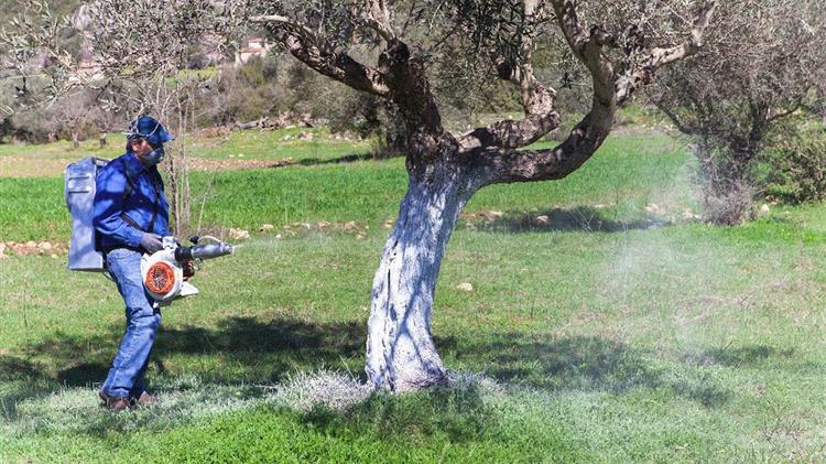 « Έναρξη δολωµατικών ψεκασµών δακοκτονίας στα νησιά Κάρπαθο και Κάσο »