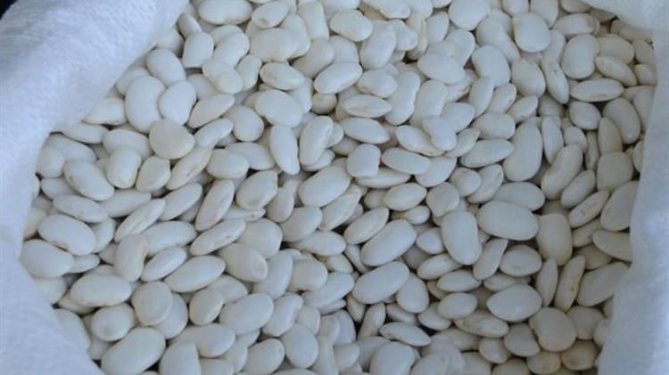 Προϊόν ΠΓΕ είναι το «λόπι» της Κατταβιάς