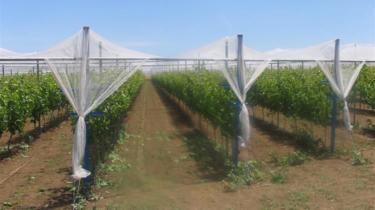 Εγκατάσταση δικτύων χαλαζικής προστασίας: 27 εκατομμύρια ευρώ