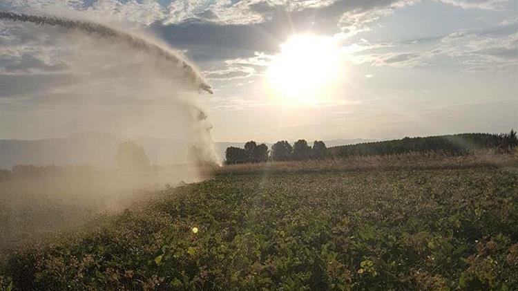 Ρύθμιση οφειλών Ο.Ε.Β. προς την Δ.Ε.Η. 