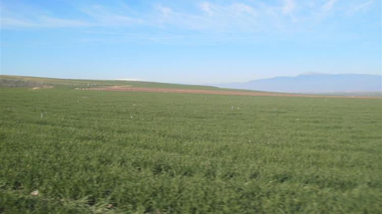 Επιστολή διαμαρτυρίας Διοικητικού Συμβουλίου Ένωσης Βιοκαλλιεργητών Π.Ε. Λακωνίας