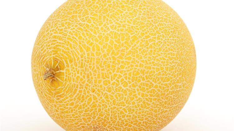 Υπαίθρια Πεπόνια