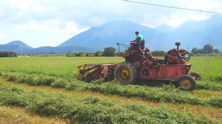  Διαμορφώνεται νέα αρχιτεκτονική στα πρόστιμα για την αδήλωτη αγροτική  εργασία και μη