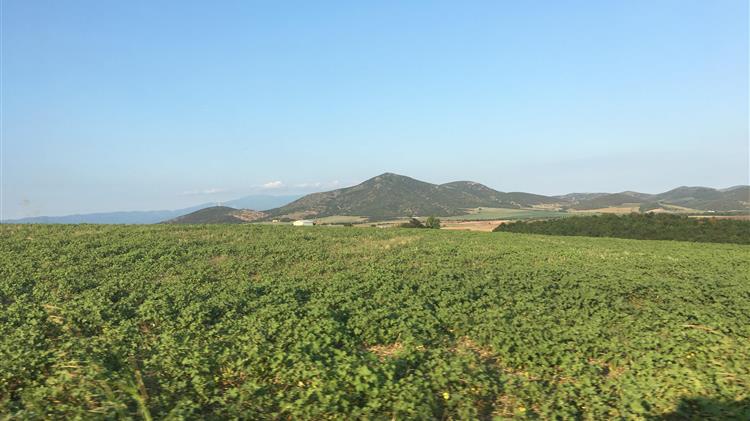 Γ. Καρασμάνης για ομιλία Αποστόλου «Παραμύθια χωρίς δράκους» !