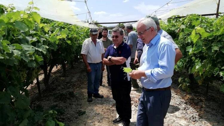 Β. Αποστόλου: Θα εξαντληθούν όλες οι δυνατότητες για να αποζημιωθούν όλοι οι αγρότες της Κορινθίας